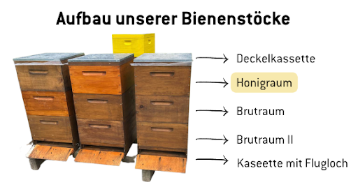 Aufbau unserer Bienenstöcke
