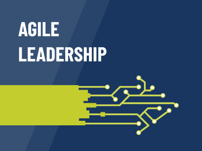 Agile Leadership und digitale Transformation