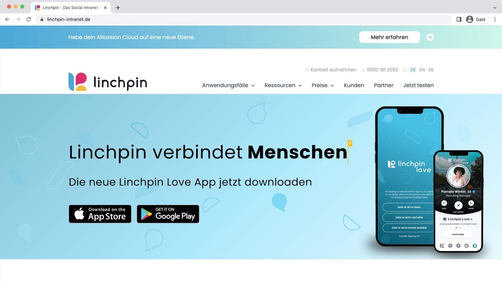Ein Screenshot einer fiktiven Produktseite für Linchpin Love.